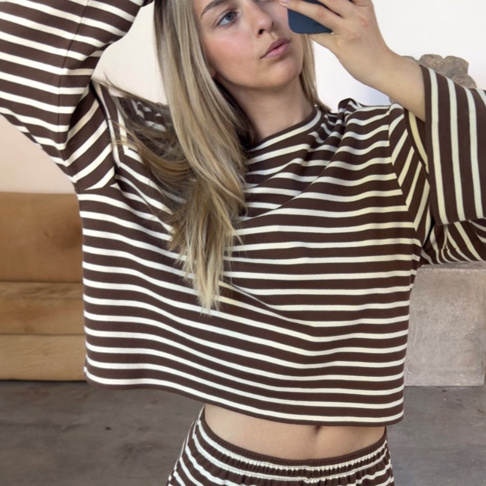 Striped Long Sleeve Cropped Tee in Brown and Cream